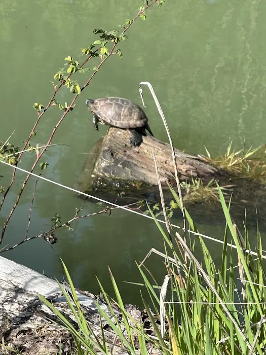 Slow Your Roll Abodes Glamping Picture 4