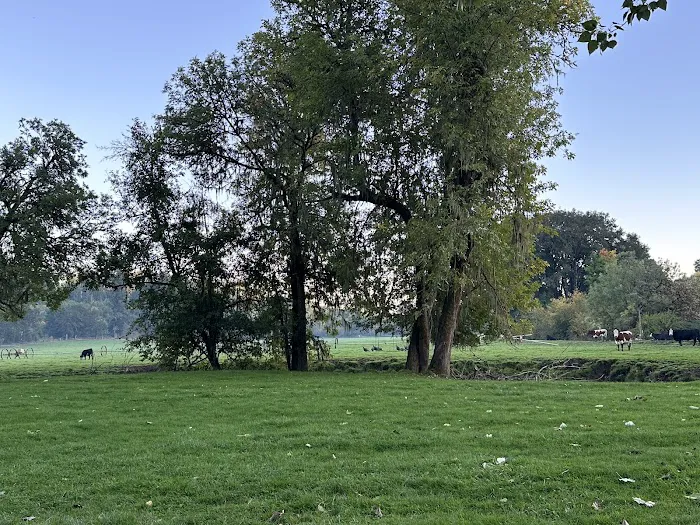 Slow Your Roll Abodes Glamping Picture 2