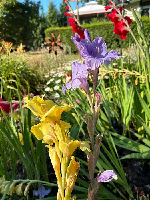 Fernwood Retreat at Bloom Hill Farm Picture 4