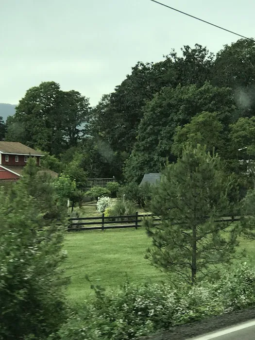 Camp Black Rock Picture 3