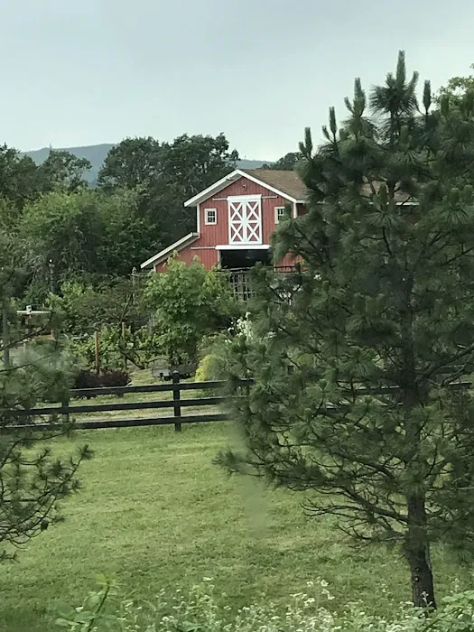 Camp Black Rock Picture 4