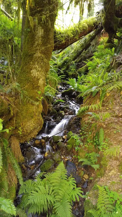 Camp Kilowan Picture 4