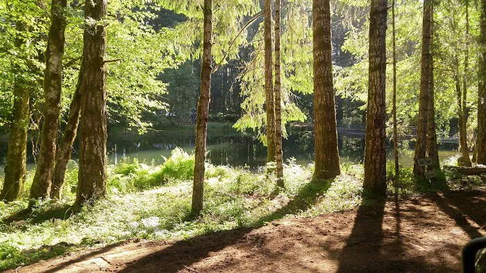 Camp Kilowan Picture 8