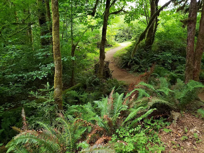 Camp Kilowan Picture 1