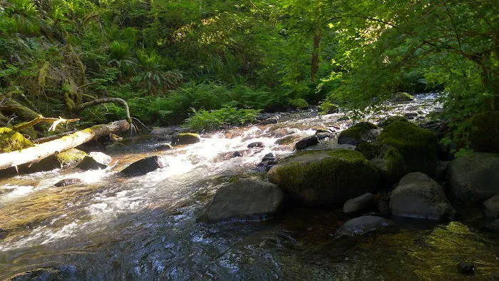 Camp Kilowan Picture 2