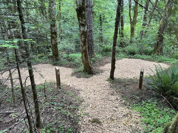 Camp Kilowan Picture 6