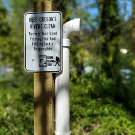 Armitage Park Campground Picture 9