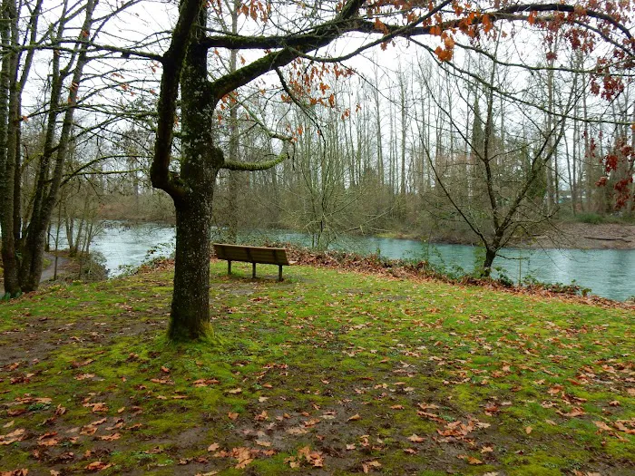 Armitage Park Campground Picture 5