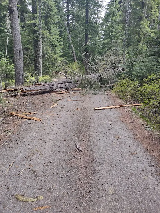 Big Meadows Horse Camp Picture 9