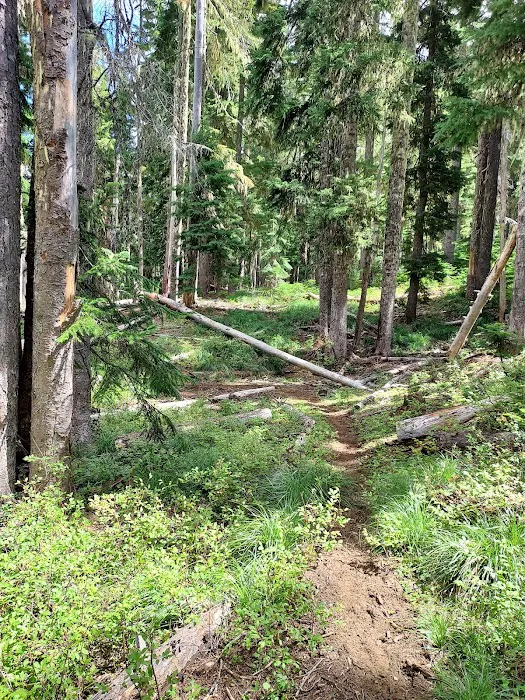 Big Meadows Horse Camp Picture 7