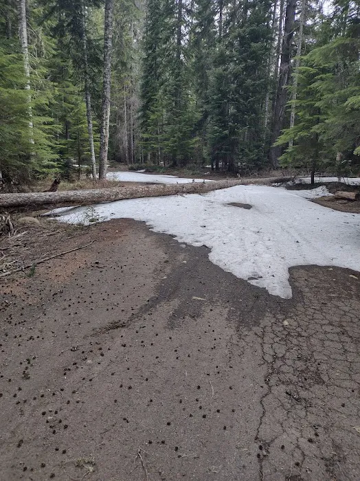 Big Meadows Horse Camp Picture 2