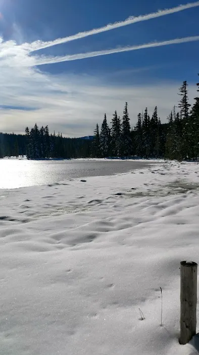 Breitenbush Lake Campground Picture 5