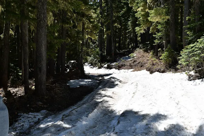 Horseshoe Lake Campground Picture 10