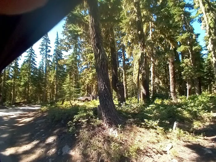 Horseshoe Lake Campground Picture 7