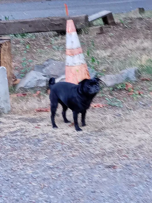 Horseshoe Lake Campground Picture 6