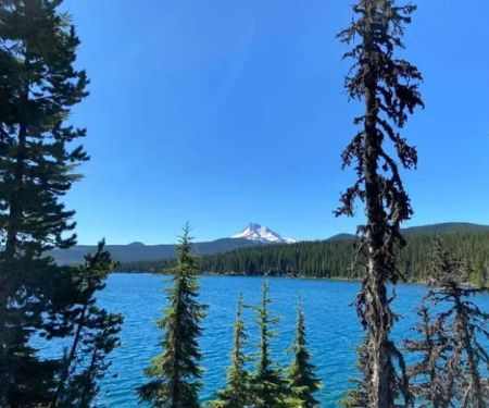 Horseshoe Lake Campground