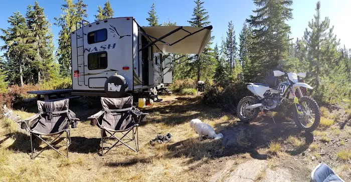 Peninsula (Olallie Lake) Campground Picture 8