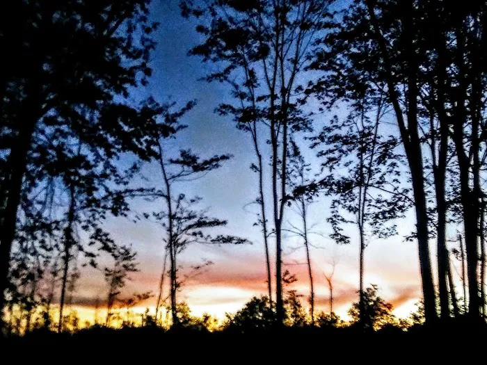 Lake Grove Park Picture 6