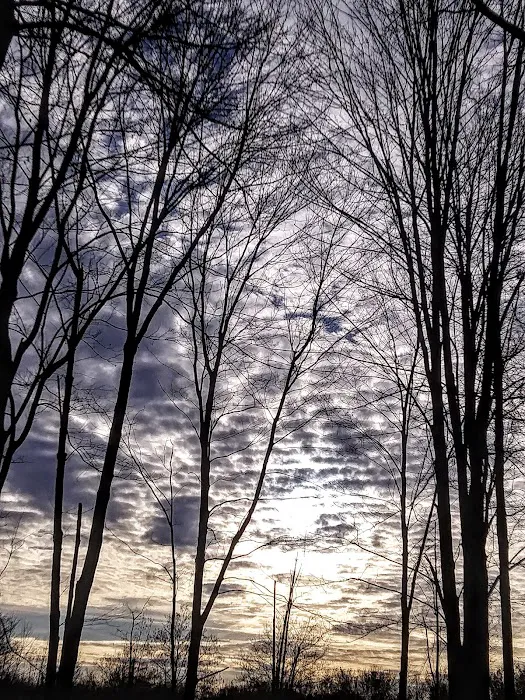 Lake Grove Park Picture 5