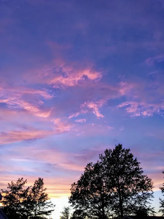 Lake Grove Park Picture 4