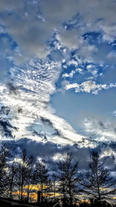 Lake Grove Park Picture 1