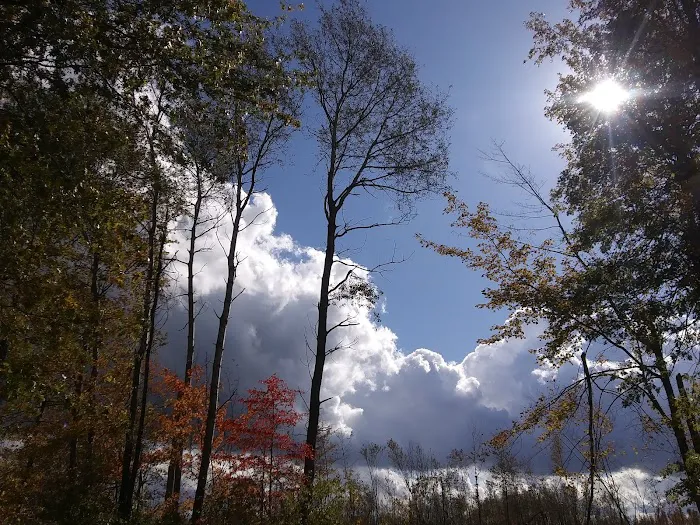 Lake Grove Park Picture 3