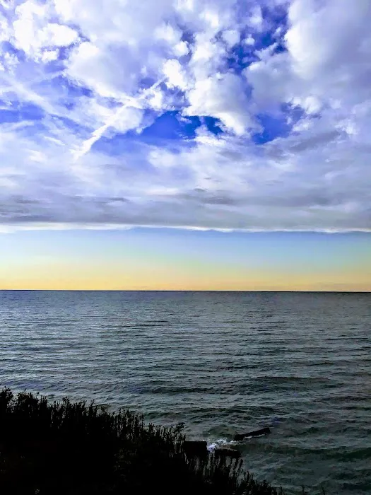 Lake Grove Park Picture 2