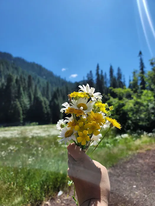 Lost Prairie Campground Picture 1