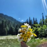 Lost Prairie Campground