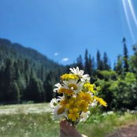 Lost Prairie Campground ico