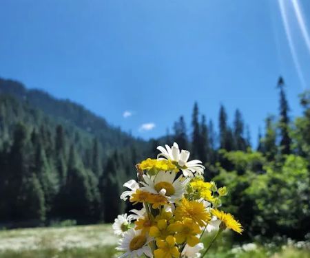 Lost Prairie Campground