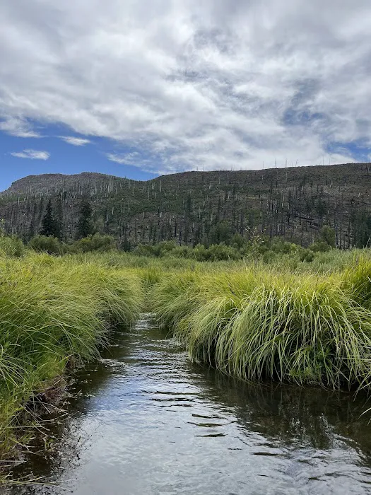 Lost Prairie Campground Picture 2