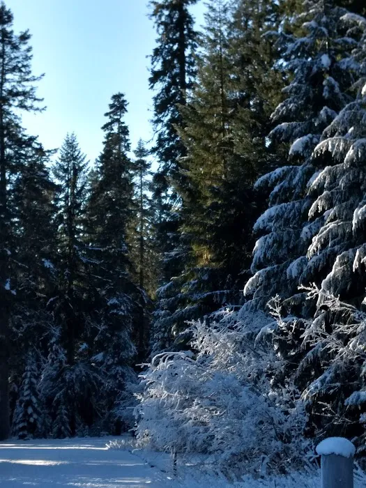Lost Prairie Campground Picture 10