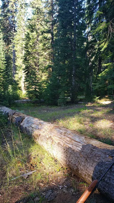 Lost Prairie Campground Picture 7