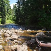 Lost Prairie Group Site ico