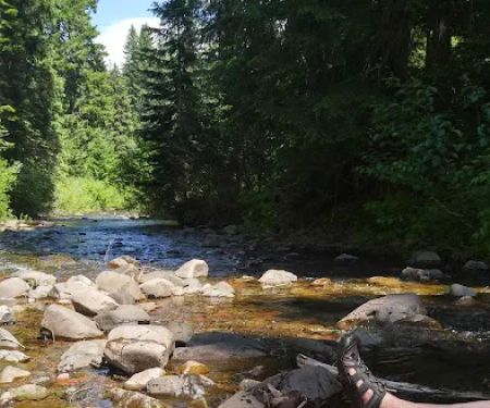 Lost Prairie Group Site