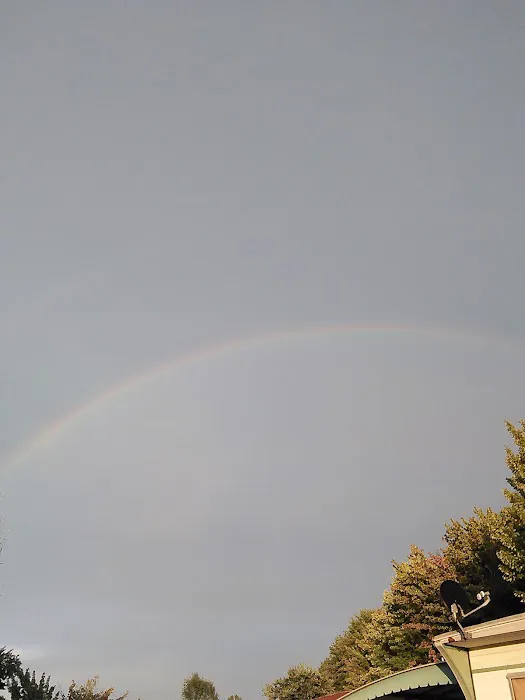 DFC Mobile Home Park & Sales Picture 5