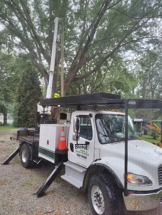 Rustic Cove MHC,LLC Picture 10