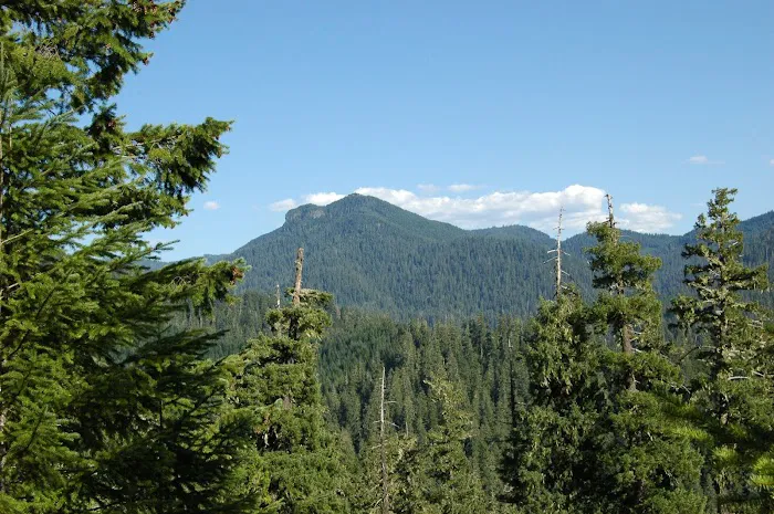 Lookout Boat Launch And Campground Picture 3