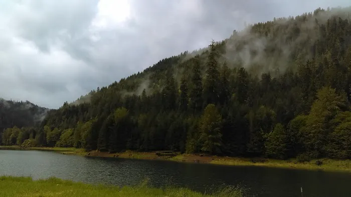 Lookout Boat Launch And Campground Picture 6