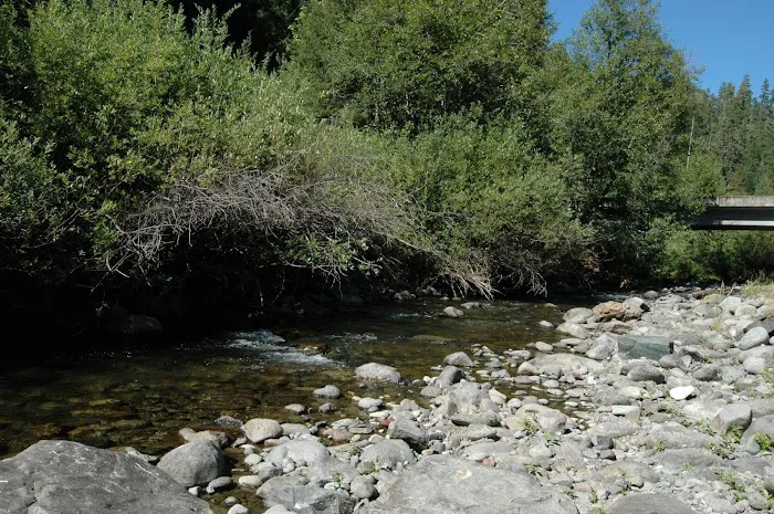 Lookout Boat Launch And Campground Picture 9