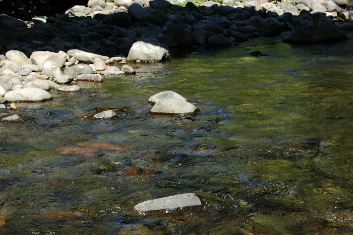 Lookout Boat Launch And Campground Picture 7