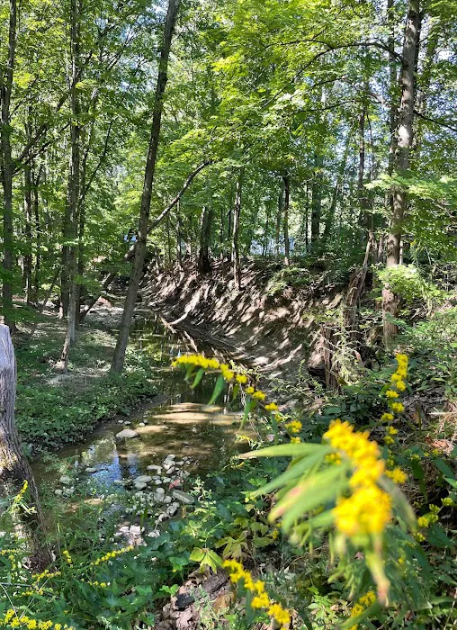 Austin Woods Manufactured Home Community Picture 6