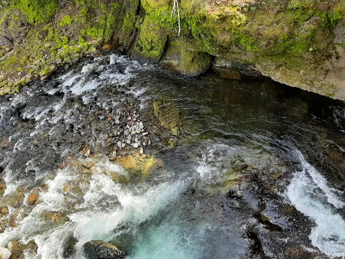 Lookout Campground Picture 4