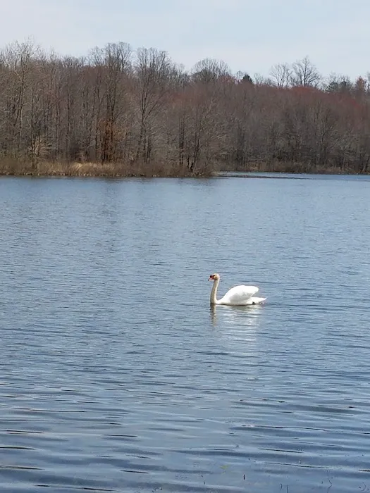 Glen Lake Estates Picture 8