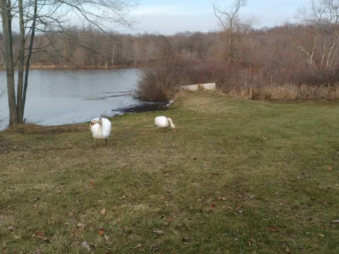 Glen Lake Estates Picture 7