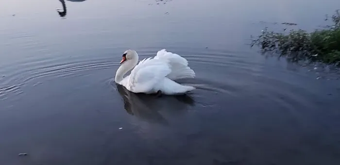 Glen Lake Estates Picture 1