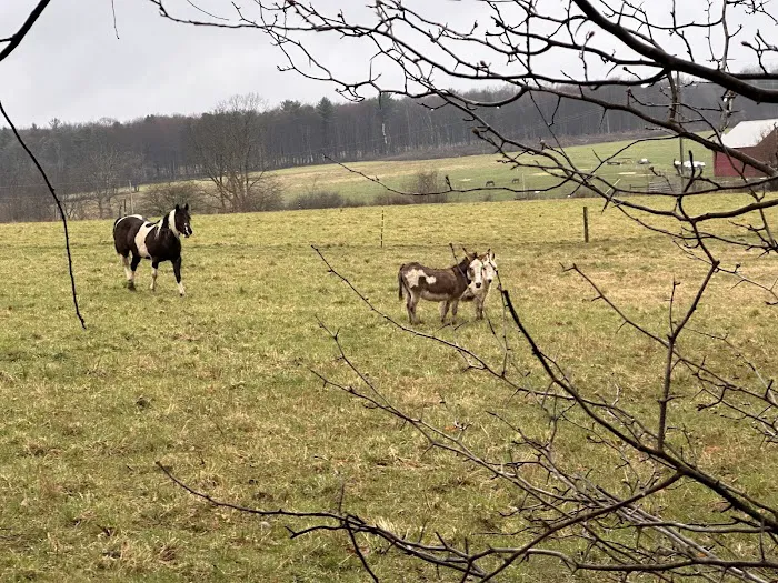 Lake Lucy RV Park Picture 2