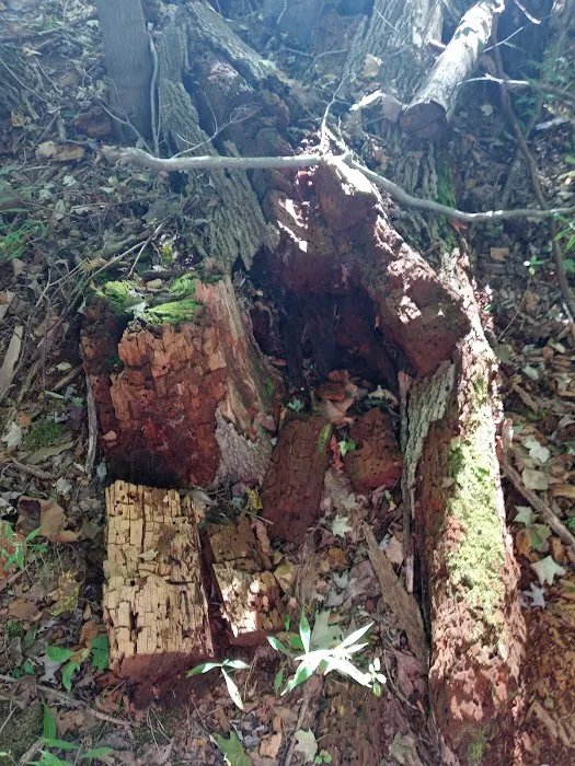 Austin Manor Manufactured Home Community Picture 9