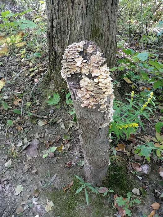 Austin Manor Manufactured Home Community Picture 7